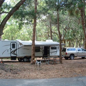 Manatee Hammock Campground