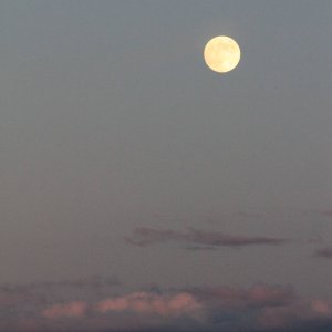 Moon over Ouray Colorado