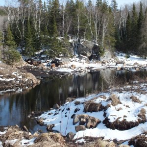 Algonquin Park Apr '11