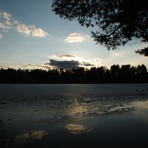 Algonquin Park Apr '11