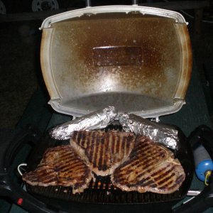 Weber Q100