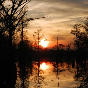 Sunset in Louisiana