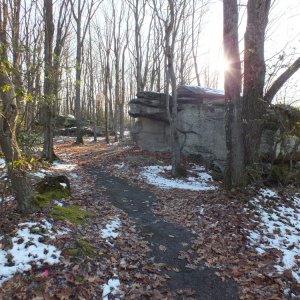 Alleghany National Forest