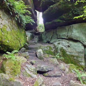 Alleghany National Forest