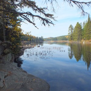 Algonquin Park