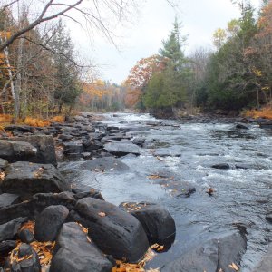 Algonquin Park