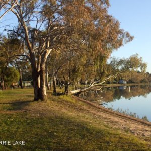 Campground at Yarrie Lake. Nsw