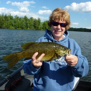 Chippewa Flowage - Smallmouth bass