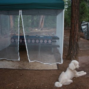 Gabe, loves camping as much as we do.