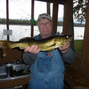 Opening day walleye -  Chippewa Flowage