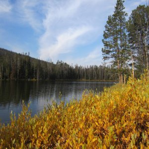 Pretty Fall Day in Yellowstone National Park