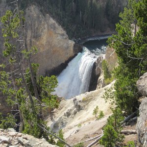 Lower Falls, Yellowstone National Park