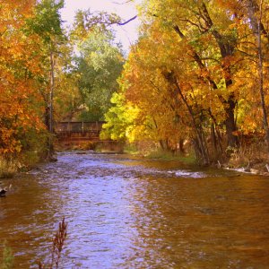 Spearfish Creek, South Dakota