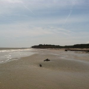 Hunting_Island_SC_051120131