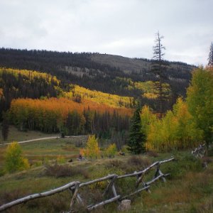 More Beautiful Aspens on The Bachelor Historic Tour drive .