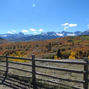 Fall Color Fence