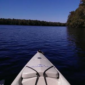 Manatee Springs