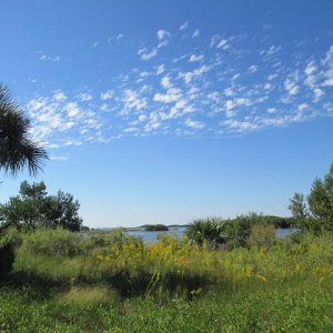 Cedar Key