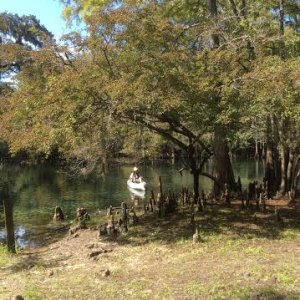 In_the_kayak_Manatee_Springs