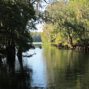 Manatee_Springs_spring_run2