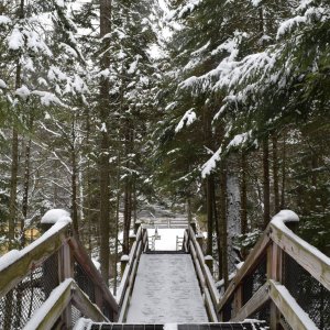 Tahquamenon Falls Dec 2014