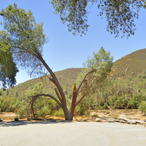 Pinnacle National Monument