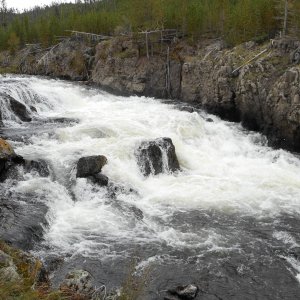 yellowstone