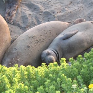 California Coast