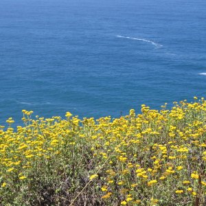 California Coast