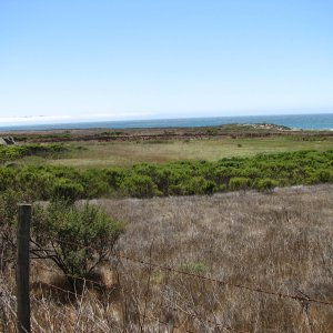 California Coast