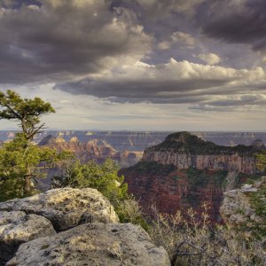 Transept Canyon Trail, North Rim, Grand Canyon NP