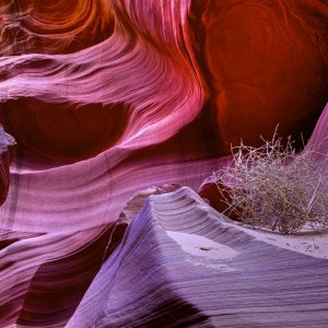 Solitary Moment, Lower Antelope Canyon, Navaho Tribal Park