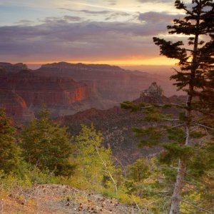 Grand Sunrise, North Rim, Grand Canyon NP