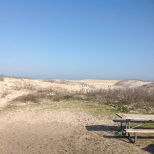 Assateague Island MD