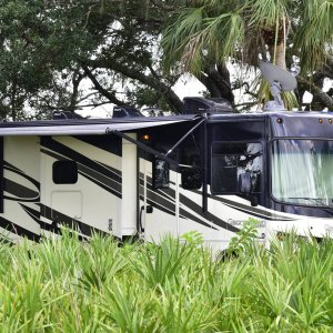 Kissimmee Prairie Preserve State Park