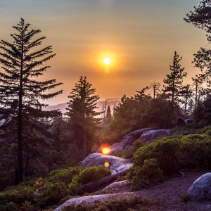 Sequoia National Park, July Sunset