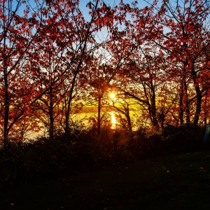 A Gorgeous Fall Sunset