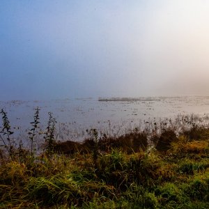 A Foogy morning at Lake Terrel 10/23/2014