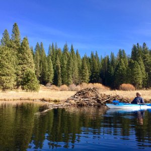 Plumas County Rocks!