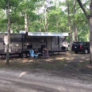 26DBH at campsite