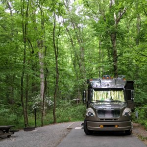 Davis River Campground Brevard NC