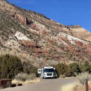 New Mexico Forest