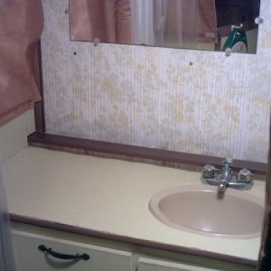 bathroom counter before