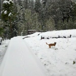 Jake wondering where all the white stuff came from on the Boardwalk?