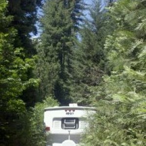 Boondocking El Dorado Forest, Blocking a logging road.