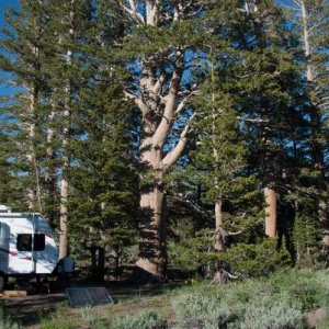 Sonora Pass, Calif., June 23, 2015