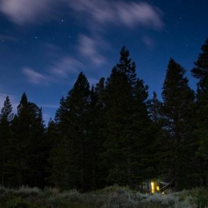 Toiyabe Natl. Forest, Calif., June 30, 2015