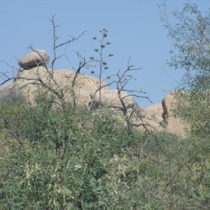 Lots of balancing rocks