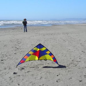 Kalaloch July 2012 (54)The beach, as usual, a great place to 'go fly a kite'