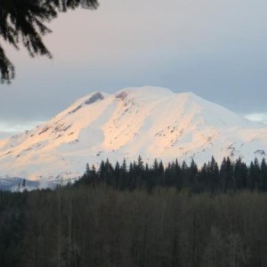 Elk Meadows  Mt Adams (2) The view from the back of our site.